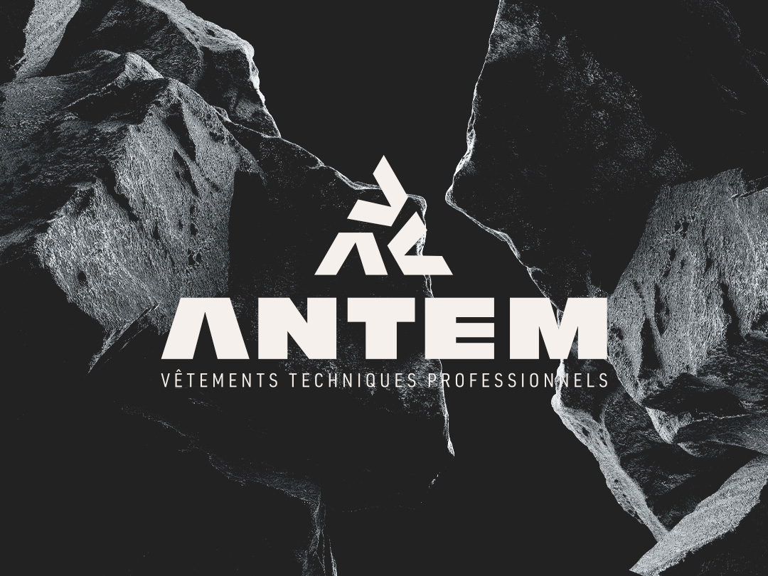 Vignette projet Antem