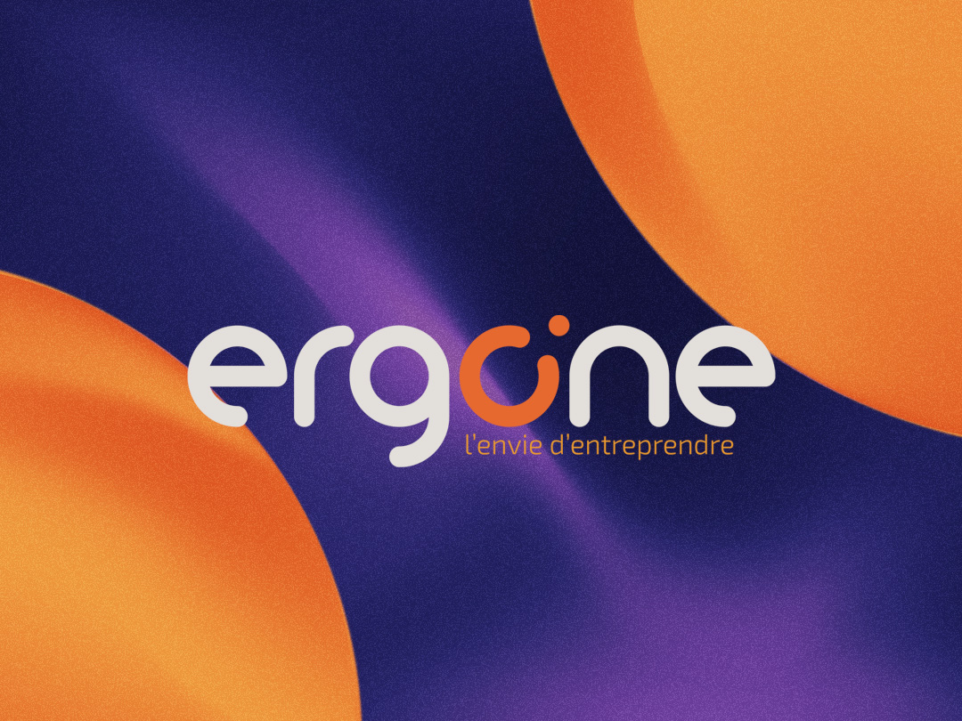 Vignette projet Ergone